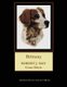 Brittany - Robt. J. May Cross Stitch Pattern (Large print, Paperback, Large type / large print edition): Kathleen George, Cross...