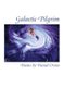 Galactic Pilgrim (Hardcover): Daniel Orsini