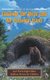 Curiosity the Bear and the Popcorn Party - And Thirty-Eight Other Bedtime Stories for Children (Hardcover): Dennis D Austin