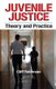 Juvenile Justice - Theory and Practice (Hardcover): Cliff Roberson