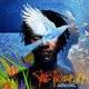 Baaba Maal - The Traveller (CD): Baaba Maal
