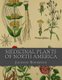 Medicinal Plants of North America (Paperback): Jackson Roderman