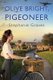 Olive Bright, Pigeoneer (Hardcover, Ed): Stephanie Graves