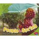 People in Spring (All About Spring) (Paperback): John Krenz