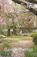 Poems, Essays & Stories (Paperback): Dale Netherton