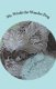 Mr. Winki the Wonder Dog (Paperback): Sena Michelle Jessen