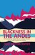 Blackness in the Andes - Ethnographic Vignettes of Cultural Politics in the Time of Multiculturalism (Paperback, 1st ed. 2014):...