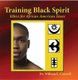 Training Black Spirit - Ethics for African American Teens (Paperback): William L Conwill Ph D