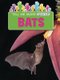 Bats (Paperback): Ruth Owen