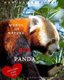 Red Panda - Words of Nature (Paperback): Katarina Garnett
