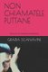 Non Chiamatele Puttane - Storie di non ordinaria prostituzione. (Italian, Paperback): Grazia Scanavini