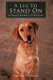 A Leg to Stand On - A Shared Journey of Healing (Paperback): Timothy McHenry