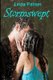 Stormswept (Paperback): Linda Palmer