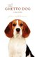 The Ghetto Dog - a true story (Paperback): Fran Rathmann