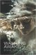 Walking Awake (Paperback): Steve Ford