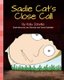 Sadie Cat's Close Call (Paperback): Jon Stommel, Travis Czekalski