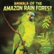 Animals of the Amazon Rain Forest (Paperback): Mari Schuh