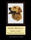 Golden Retriever - Robt. J. May dog cross stitch pattern (Paperback): Kathleen George, Cross Stitch Collectibles