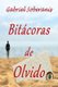 Bitacoras de Olvido / Ojitos, Una Aventura Extraordinaria (Spanish, Paperback): Gabriel Soberanis