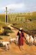 The Templar's Wife (Paperback): Charles J Santorini