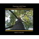 Dancing with Trees - A Family Journal (Hardcover): Benny Graves