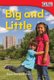 Big and Little (Paperback, 2nd edition): Dona Herweck Rice