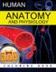 Anatomy & Physiology Coloring Book (Paperback): Anatomy Coloring Book, Dr Frank K Michael