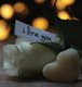 In Loving Memory Funeral Guest Book, Loss, Celebration of Life, Wake, Memorial Service, Funeral Home, Church, Condolence Book,...