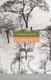 Like Life (Paperback, 1st Vintage Contemporaries ed): Lorrie Moore