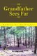 Grandfather Sees Far (Paperback): Robert C Gallagher