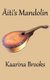 AEiti's Mandolin (Paperback): Kaarina Brooks