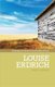 Louise Erdrich (Paperback): David Stirrup