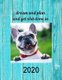 Dream and Plan And Get Shit Done in 2020 (Paperback): White Dog Books
