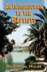 An Introduction to the Baptists (Paperback): Erroll Hulse