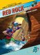 Canyon Echoes (Paperback): Jerry B. Jenkins