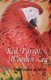 Red Parrot, Wooden Leg (Hardcover): Gregorio Kohon