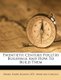 Twentieth Century Poultry Buildings and How to Build Them (Paperback): Emory Eugene [Banks