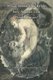 What Does the Bible Say About the Devil Satan? - A Styled Satanology (Paperback): Ken Ammi