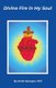 Divine Fire in My Soul (Paperback): Eniko Nyerges