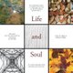 Life and Soul (Paperback): John Hendry