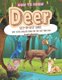 How to Draw Deer Step-by-Step Guide - Best Deers Drawing Book for You and Your Kids (Paperback): Andy Hopper