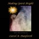 Making Spirit Bright (Paperback): Carol a Danforth