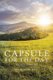 Capsule for the Day (Paperback): Francis M Afu