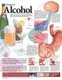 Dangers of Alcohol Anatomical Chart (Wallchart, 2nd edition): Anatomical Chart Company