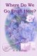Where Do We Go From Here? (Paperback): R.A. Palmer