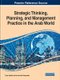 Strategic Thinking, Planning, and Management Practice in the Arab World (Hardcover): Fayez Albadri, Yacoub Adel Nasereddin