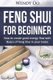 Feng Shui For Beginner - How To Create Good Energy Flow With Basics Of Feng Shui In Your Home (Paperback): Wendy Oo