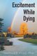 Excitement While Dying (Paperback): Santiago Vilas