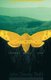 Metamorphosis - Johnny Meets John (Paperback): John Dewey Stahl