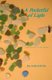 A Pocketful of Light - 13 Days in the World's First Tourist Destination (Paperback): Jan Stafford Kellis